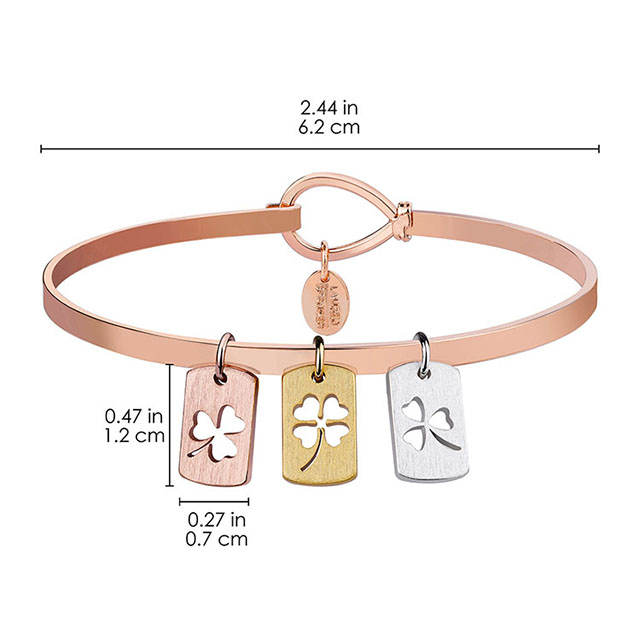 BN1868RG3IR1-BR_Size