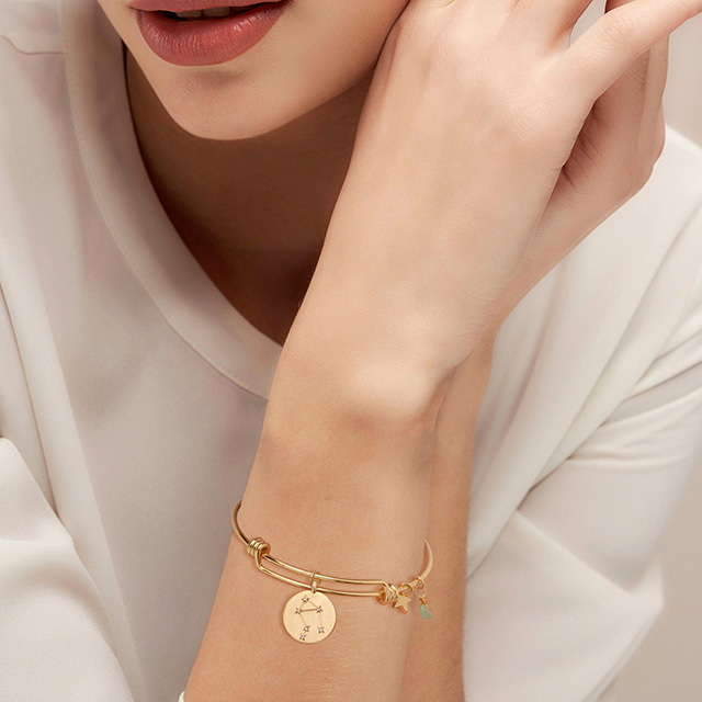 Zodiac Bracelet for Women Gold Plated Dainty Constellation Star Bracelet Pendant Charms Gold Round Disc Zodiac Sign Bracelet for Women Girls Astrology Bracelet Jewelry Gift