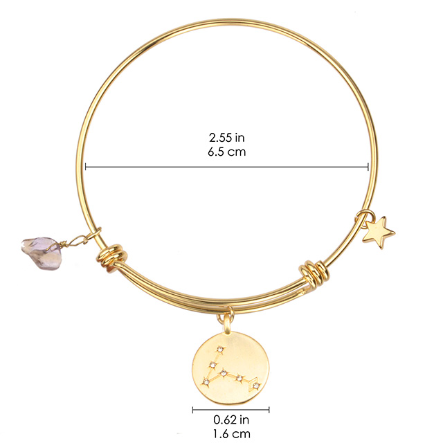 Zodiac Bracelet for Women Gold Plated Dainty Constellation Star Bracelet Pendant Charms Gold Round Disc Zodiac Sign Bracelet for Women Girls Astrology Bracelet Jewelry Gift